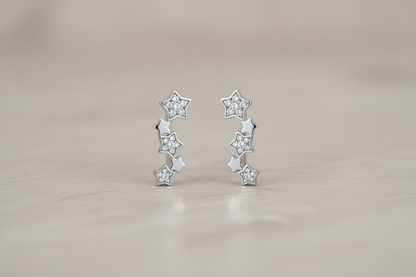 925 Silver Earrings