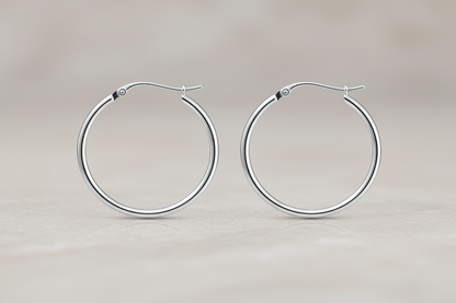 925 Silver Earrings