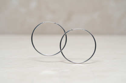 925 Silver Earrings