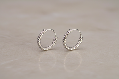 925 Silver Earrings