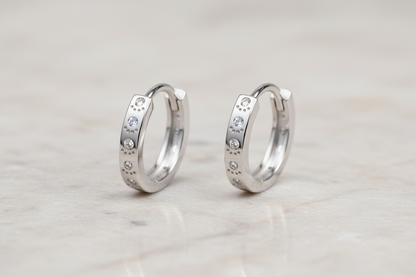 925 Silver Earrings